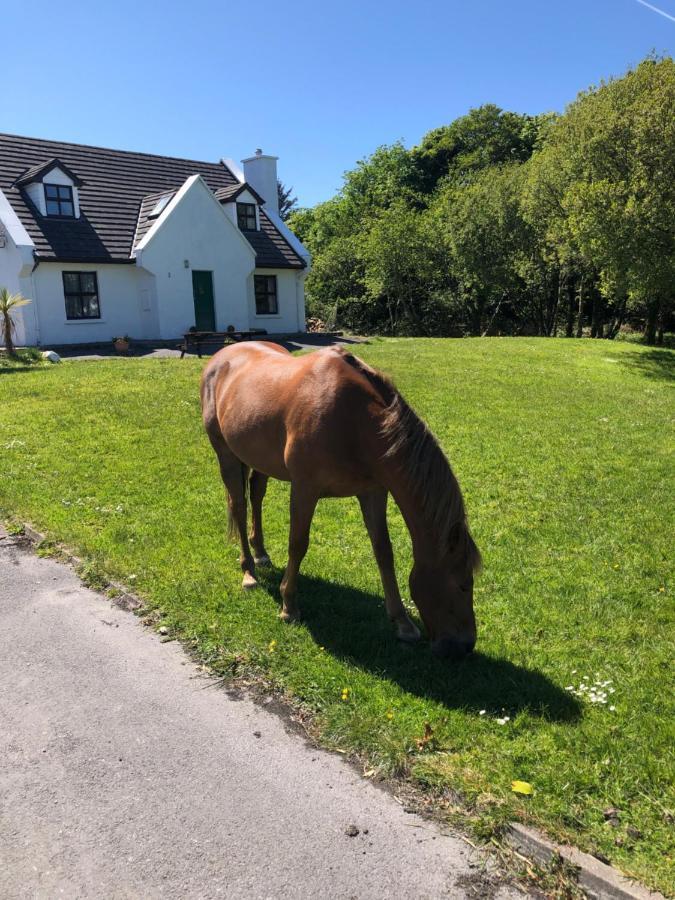 House With Sea Views Close To Beach With Wifi And Large Kitchen And Dining Ardnagreevagh Extérieur photo